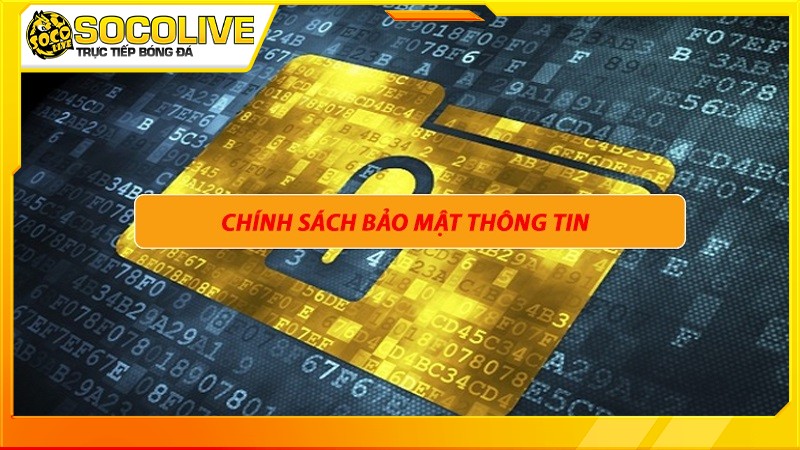 Cam kết an toàn của chính sách bảo mật