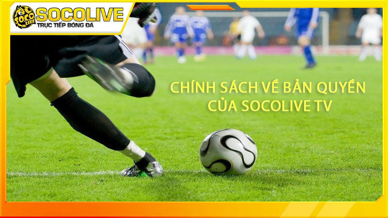 Chính sách về bản quyền của Socolive TV