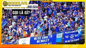 Fan Chelsea gọi là gì