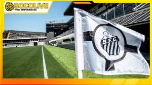 Lịch sử ra đời câu lạc bộ Santos Futebol