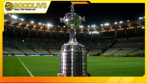 Copa Libertadores là một giải đấu bóng đá danh giá dành cho các câu lạc bộ hàng đầu tại Nam Mỹ