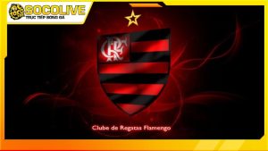 Lịch sử hình thành của câu lạc bộ Flamengo 