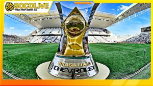 Tổng quan về giải vô địch bóng đá Brazil